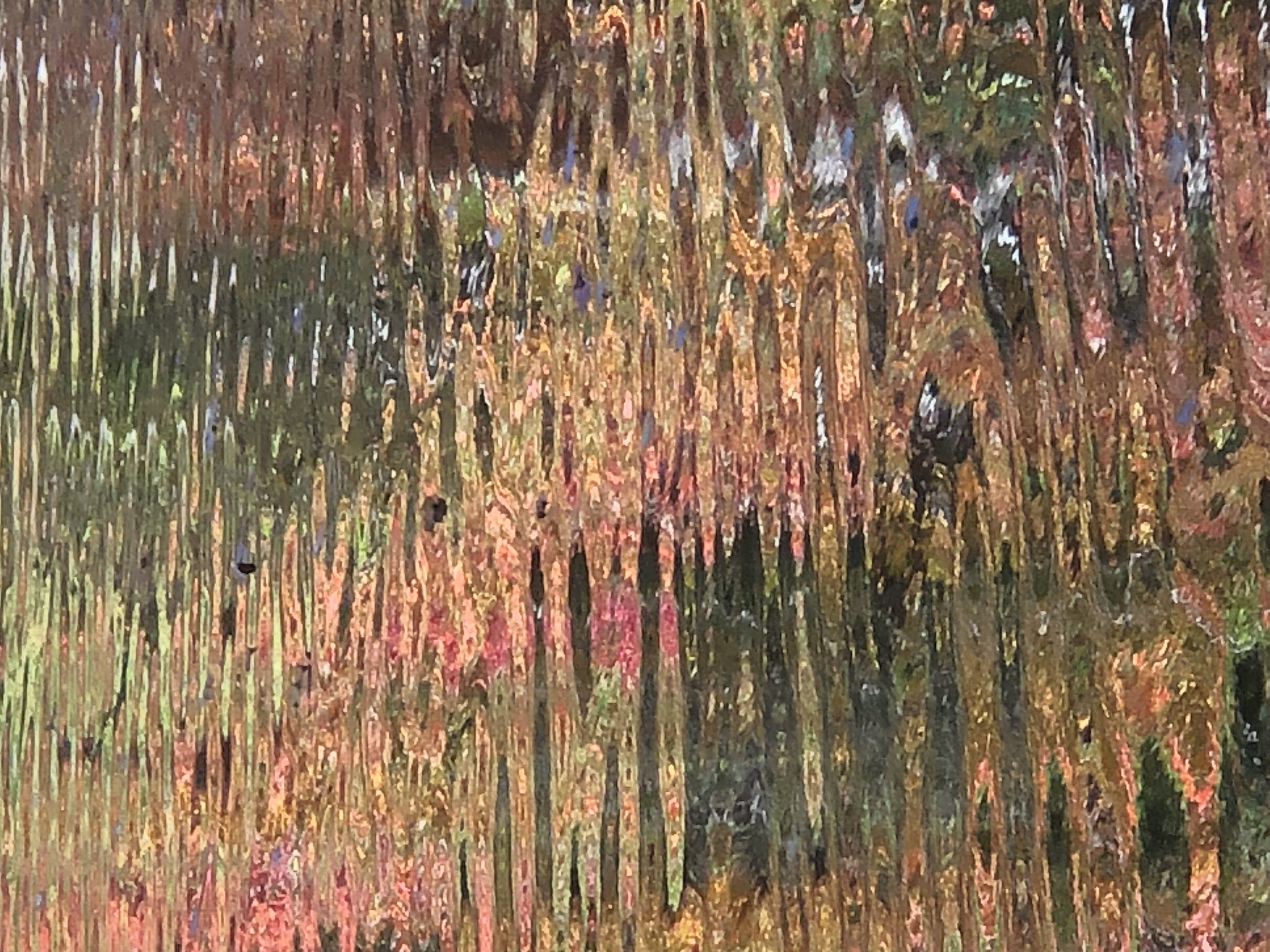 Fall colors reflected in swirls on water