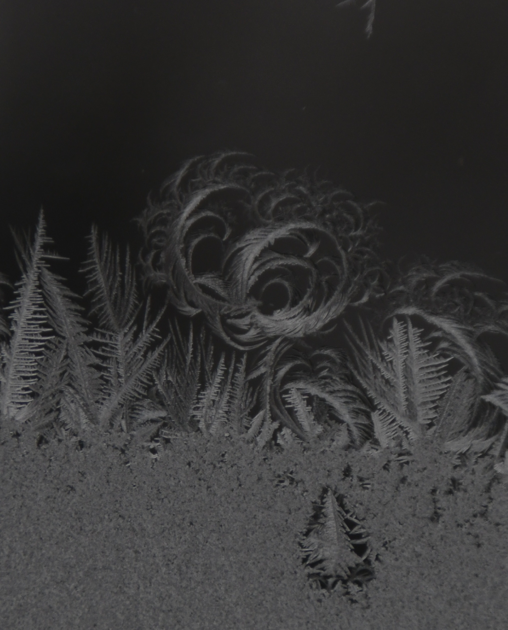 closeup of lollypop shape