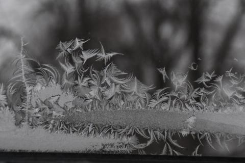 frost looks like hillside with trees