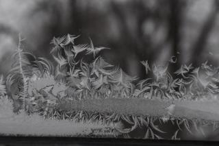 frost looks like hillside with trees